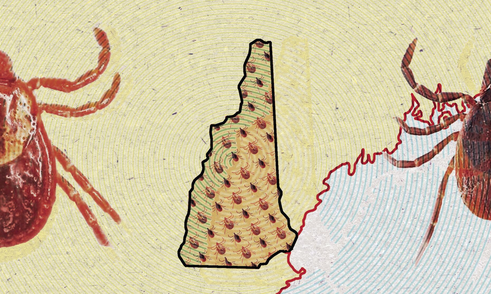 Ticks are looking for you, are you checking for them?